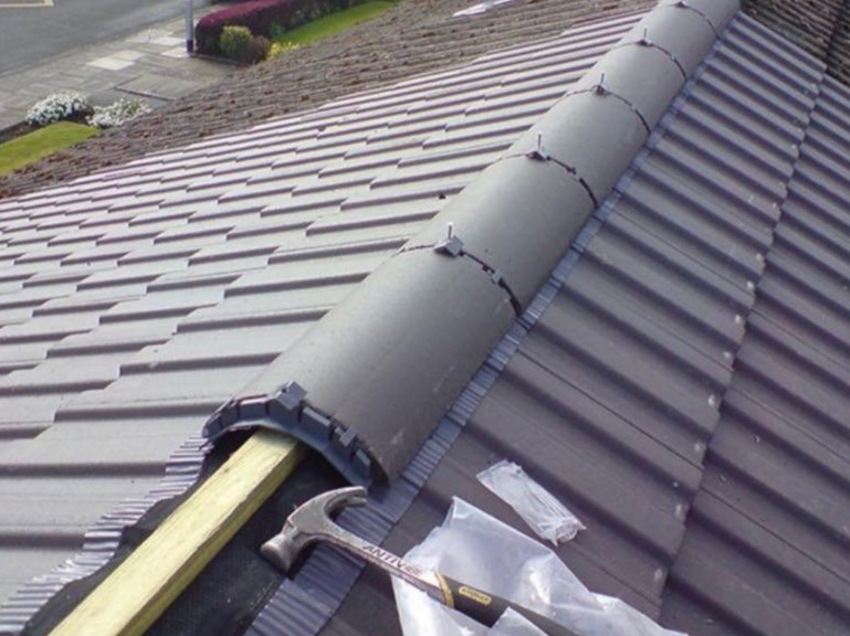Dry Ridge and Verge Systems Scotland